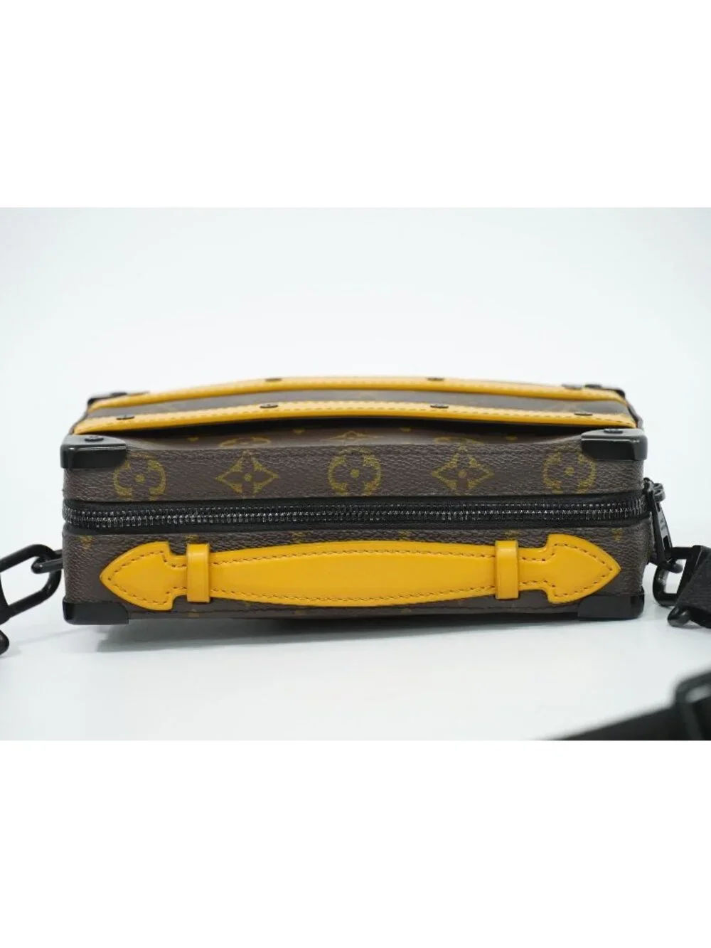 Louis Vuitton accessories pet